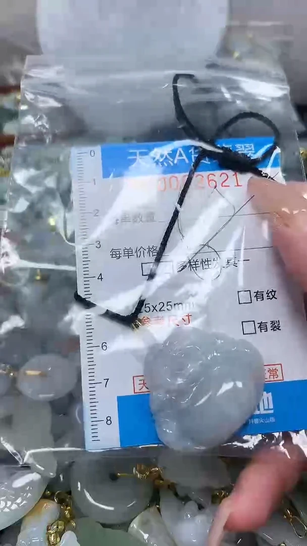 翡翠未镶嵌颈饰净货挂件-2621