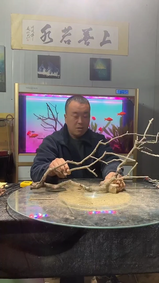 直播间黄栎木140号长度78