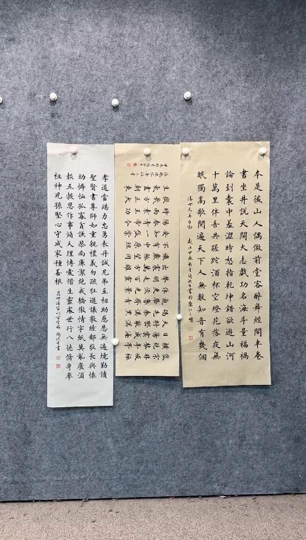 【闪购商品】书法pmw不二轩旗舰店书法THS8