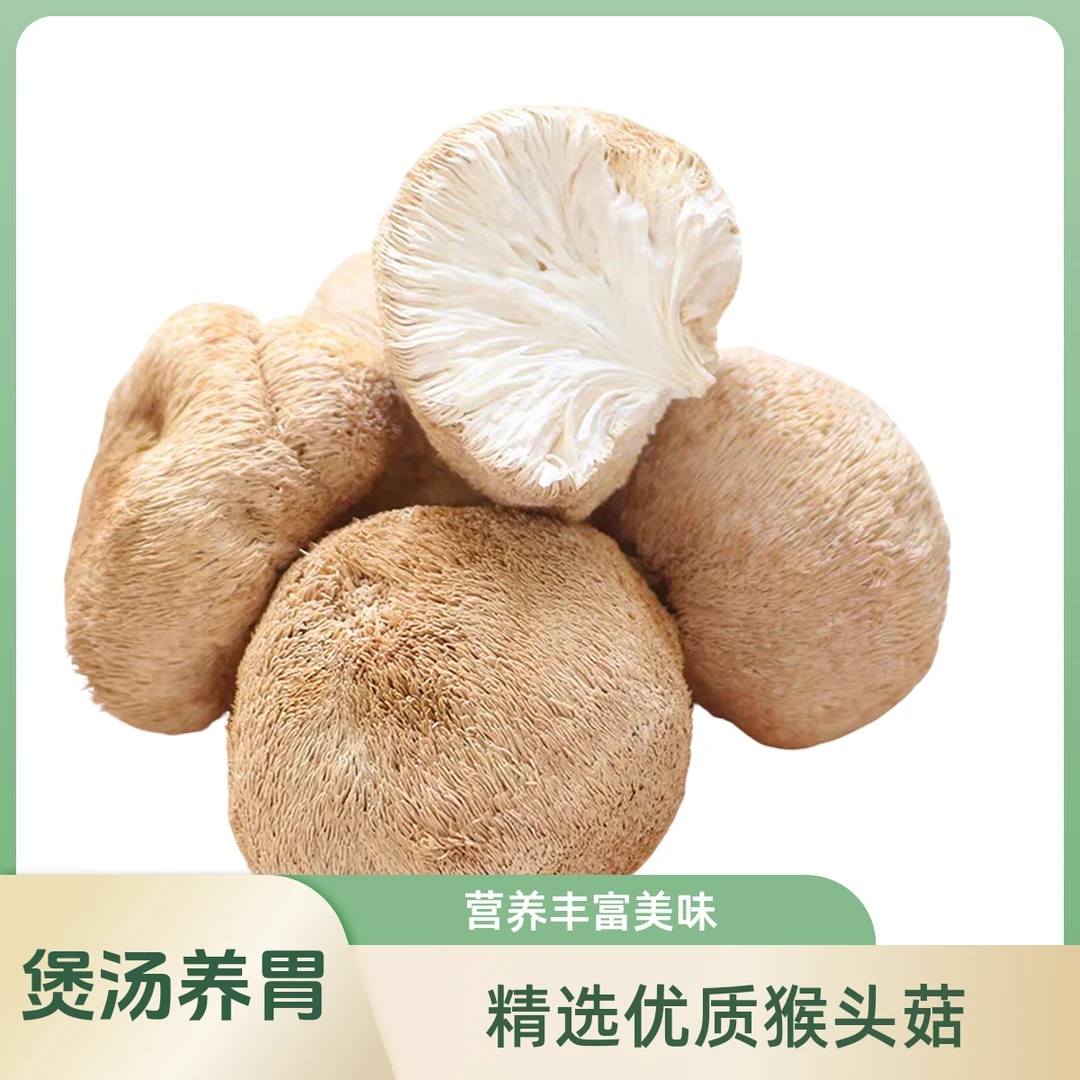 （顺丰包邮)东北特产猴头菇干货散装煲汤养胃食材250/500克