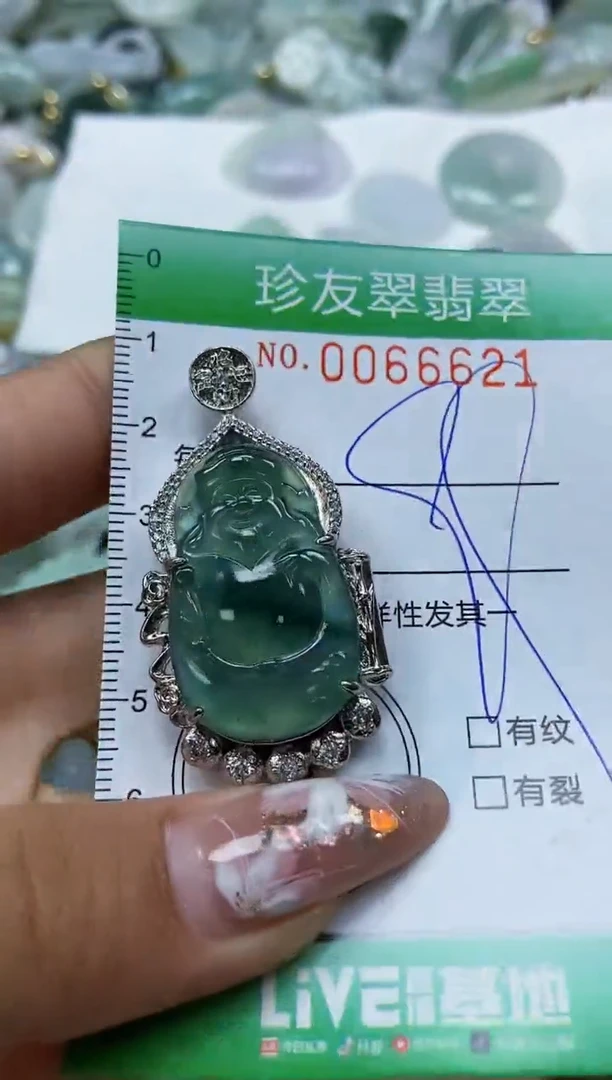 【闪购商品】翡翠颈饰未镶嵌闪购0066621