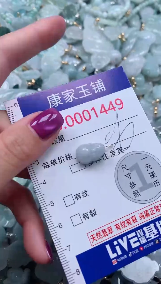 颈饰未镶嵌翡翠1449