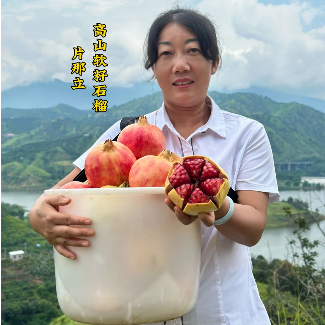 g【鲜甜多汁】四川突尼斯软籽石榴时令应季水果4.5斤装昆明仓发货