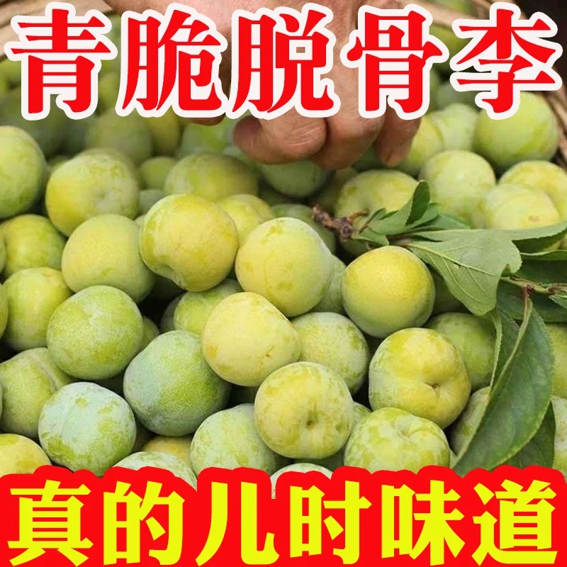正宗贵州清脆李应季新鲜李子现采发货酸甜爽口多汁