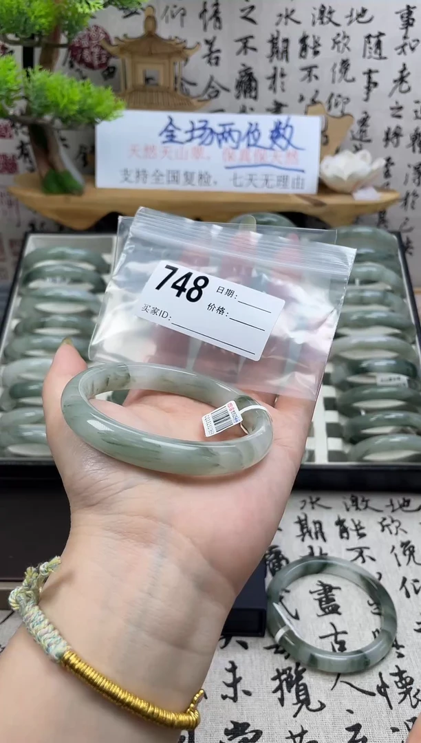 石英质玉（天山翠）手镯未镶嵌748