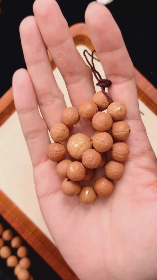 凤眼菩提手串12.5+mm尼泊尔凤眼铜钉同树原籽