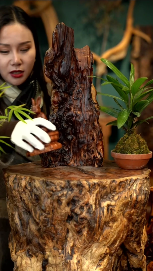 木雷击枣木半壁江山