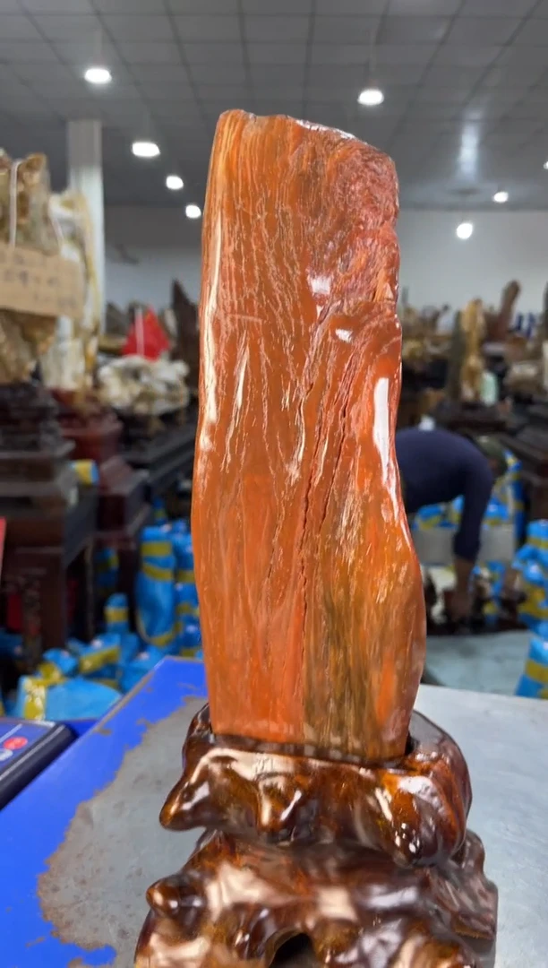 未镶嵌摆件硅化玉5