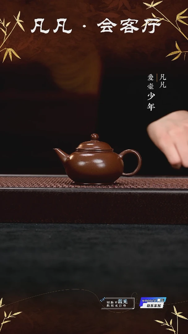 茶壶紫砂凡凡会客厅&潘俊昌11 水平紫泥160cc