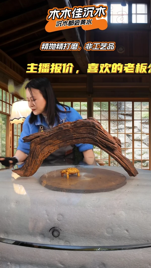 你****么木木佳沉木鱼缸造景450