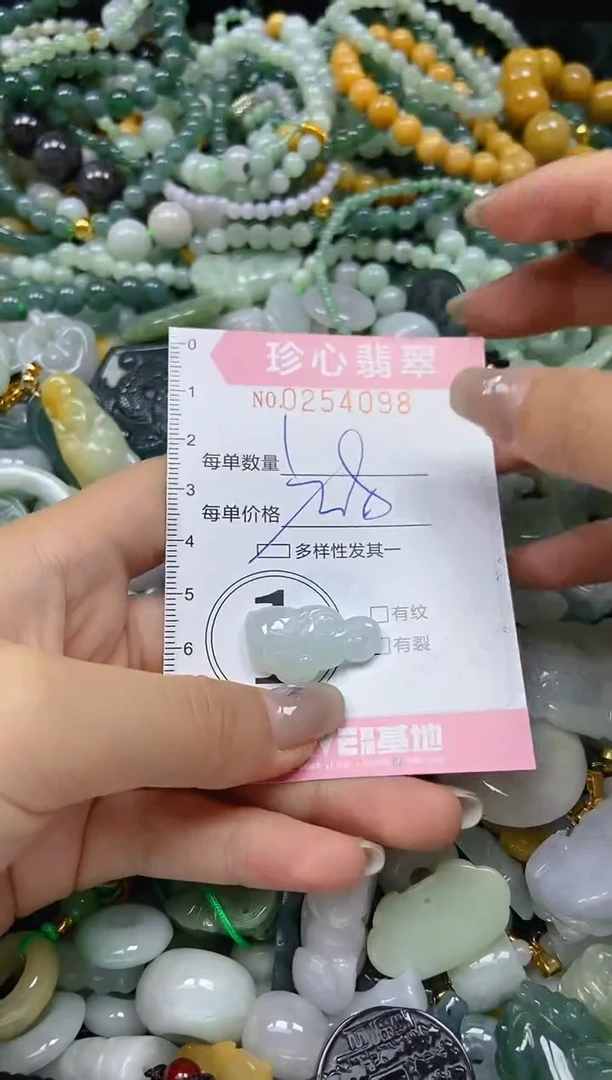 翡翠未镶嵌颈饰闪购0254098多样性发其一