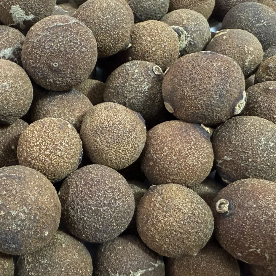 《阿权专享》10陈化 蟠龙金果 拍一发五到手1250g 罐装
