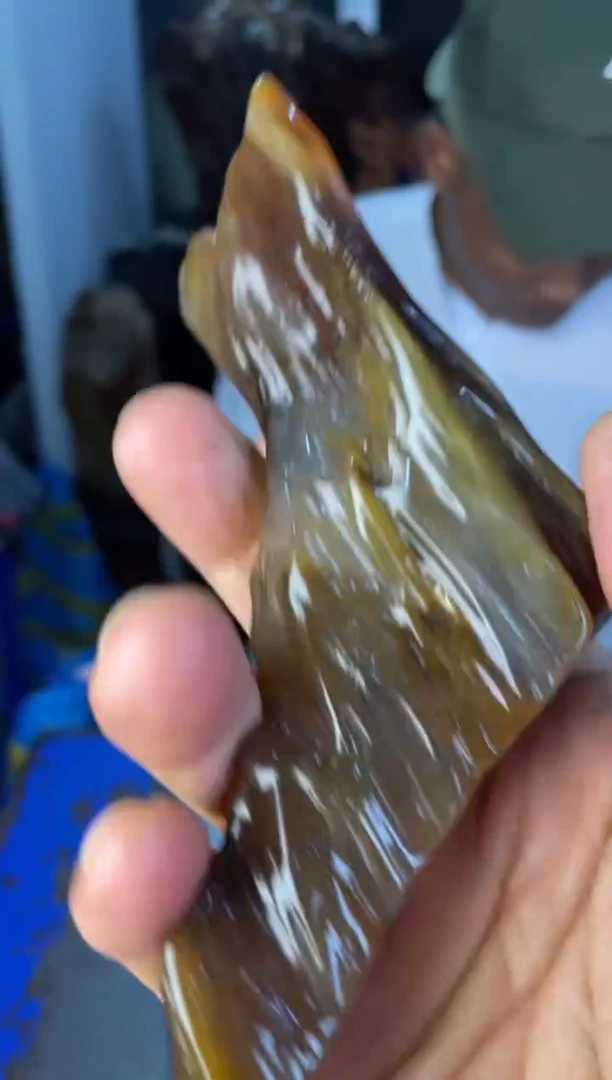 未镶嵌摆件硅化玉1