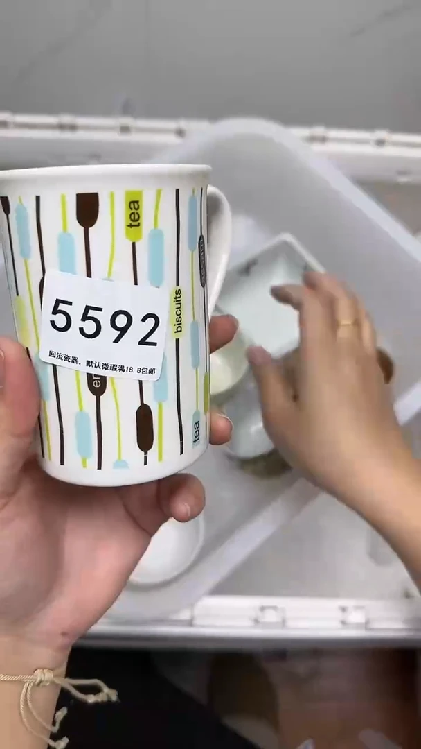 【闪购商品】5592回流瓷器默认微瑕，18.8包邮