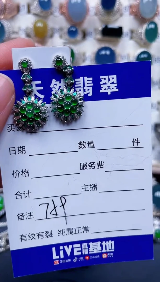 银S925镶嵌翡翠耳饰759