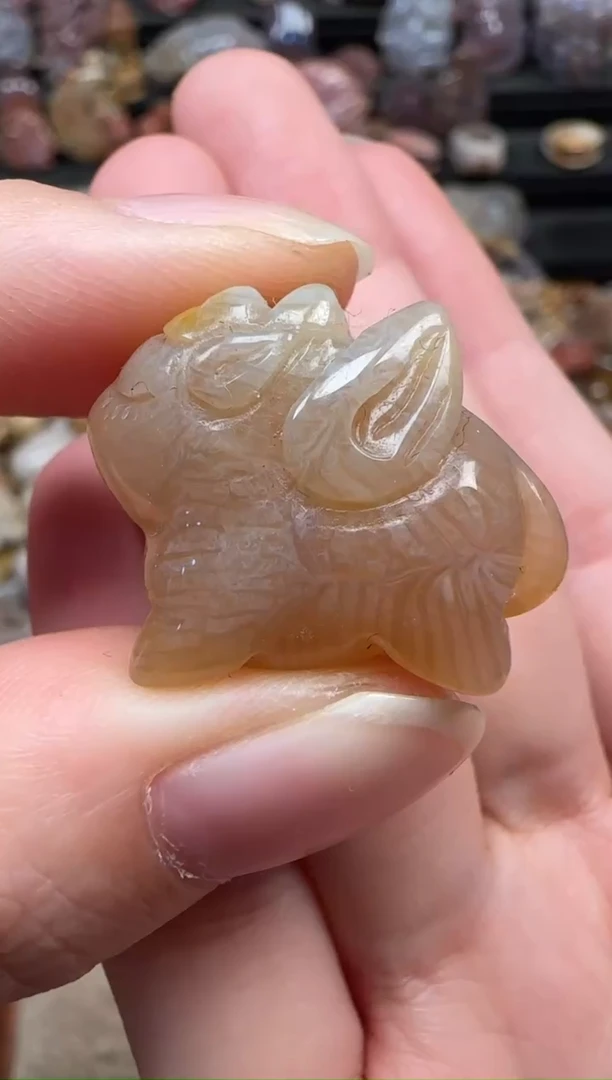 颈饰未镶嵌硅化珊瑚（珊瑚玉）461