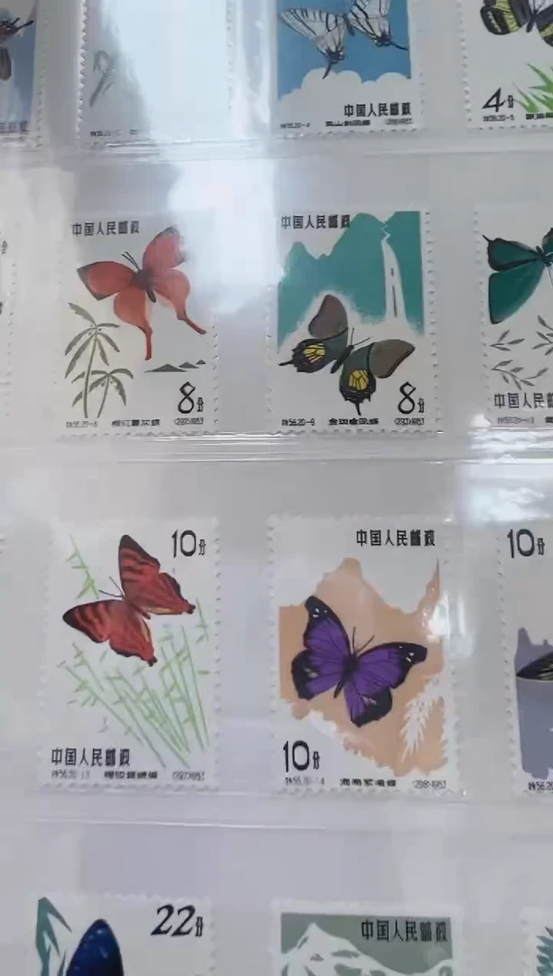 特56 蝴蝶套票 封装评级 邮票