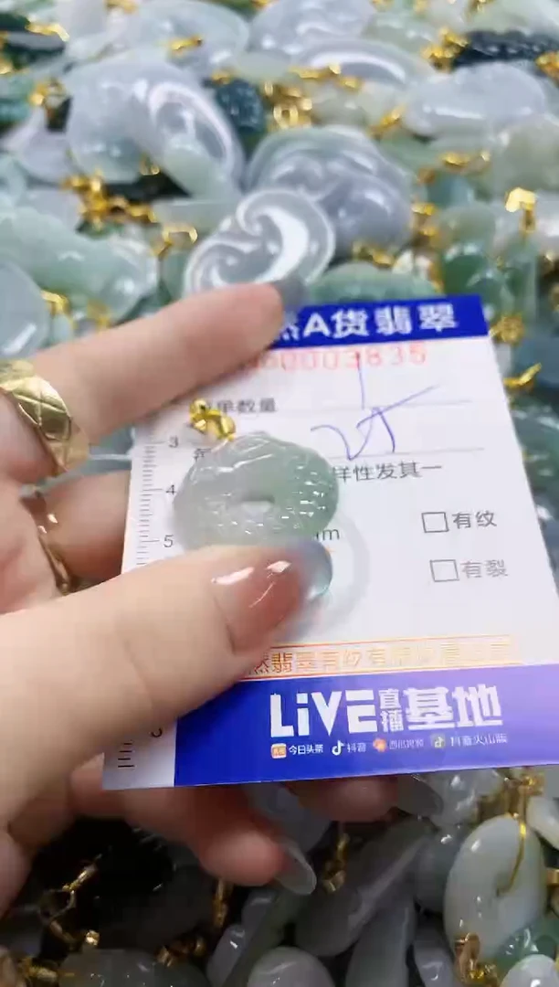 颈饰未镶嵌翡翠纯天然a货翡翠