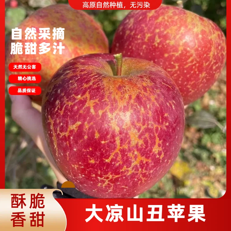 四川大凉山丑苹果当季鲜果现摘现发脆甜多汁