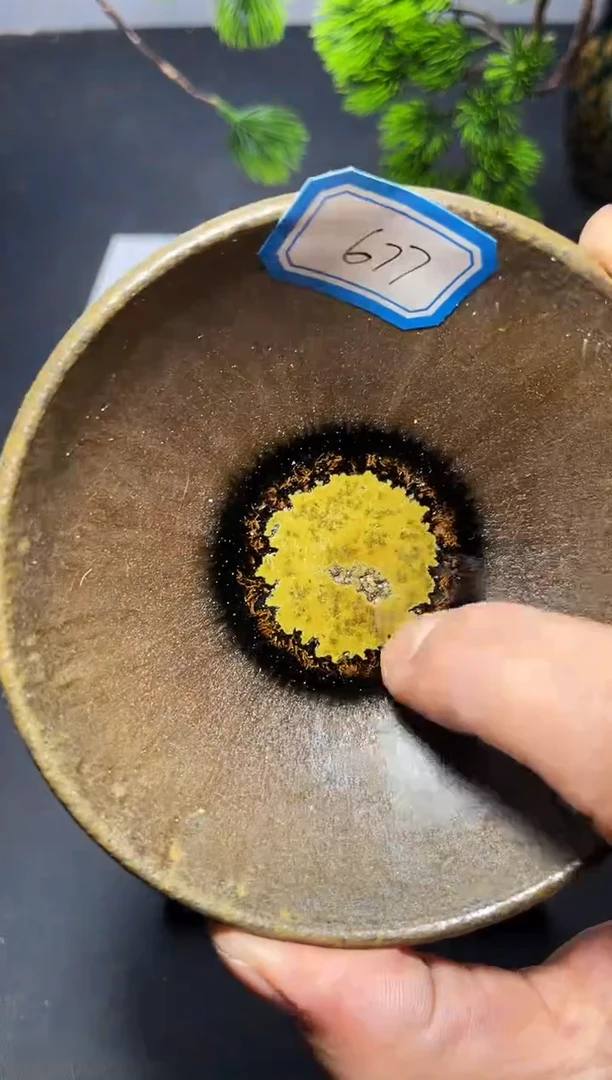 茶盏677（微瑕）叶紫建盏