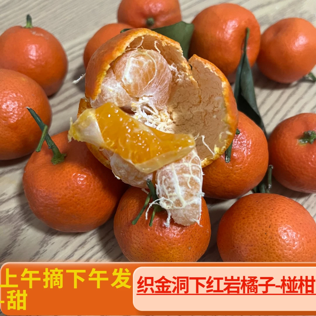 【果园直发】贵州织金洞下红岩橘子椪柑新鲜正宗现摘现发水果清甜