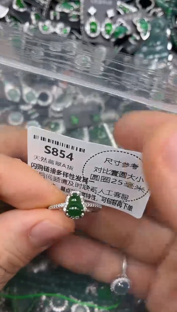 颈饰未镶嵌翡翠S854戒指