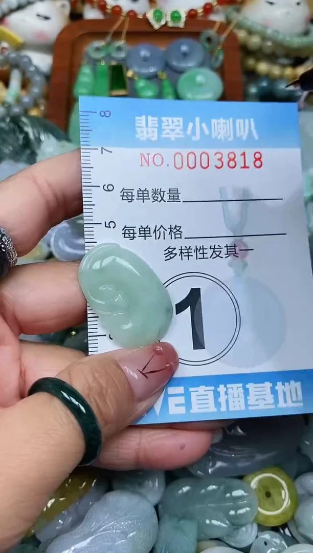 【闪购商品】翡翠颈饰未镶嵌闪购0003818