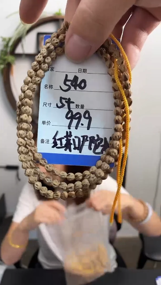柏香籽/百香籽手串540红芽口尸陀林