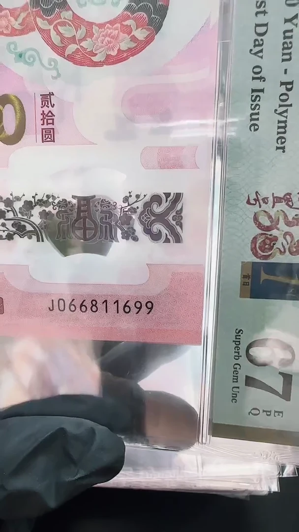 塑料PMG蛇钞单张67分066811699