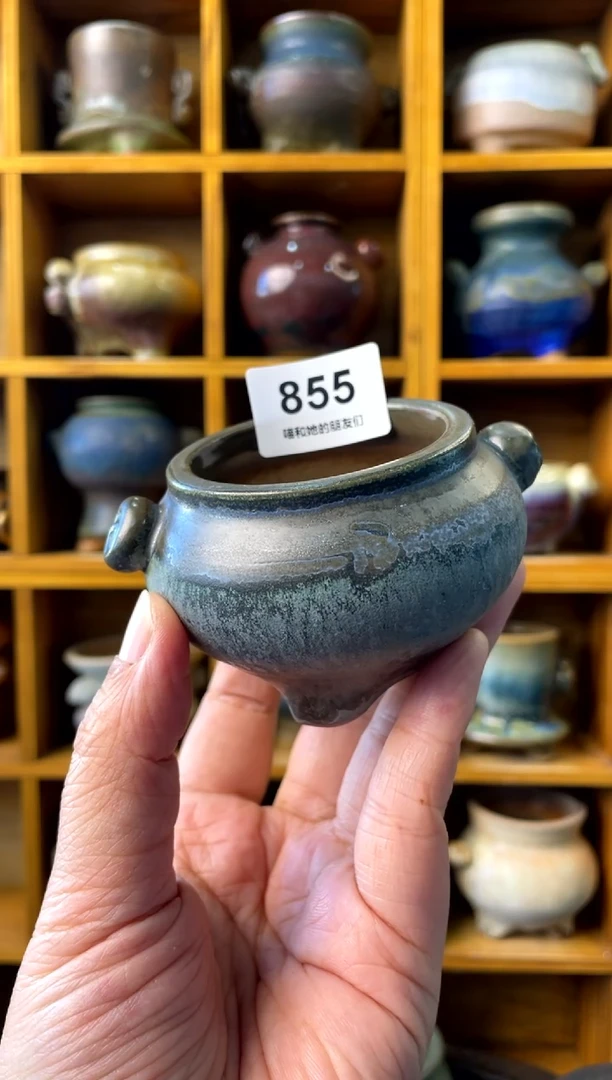 【闪购商品】陶855
