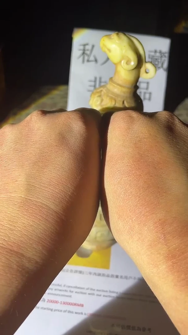 222   多样性发一件