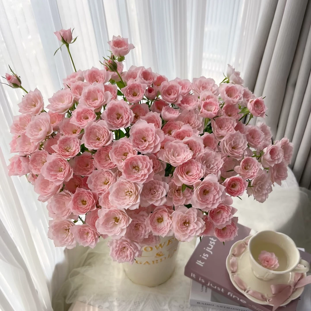 【完美甜蜜多头玫瑰 】任意两单及两单以上鲜花顺丰包邮发货