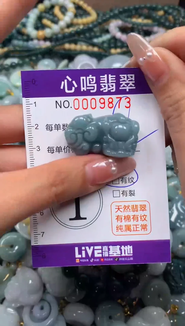 颈饰未镶嵌翡翠闪购009873