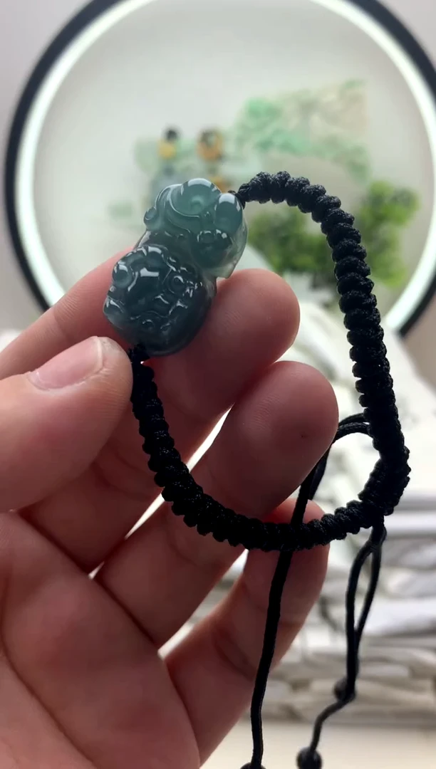 颈饰未镶嵌翡翠貔貅手绳z