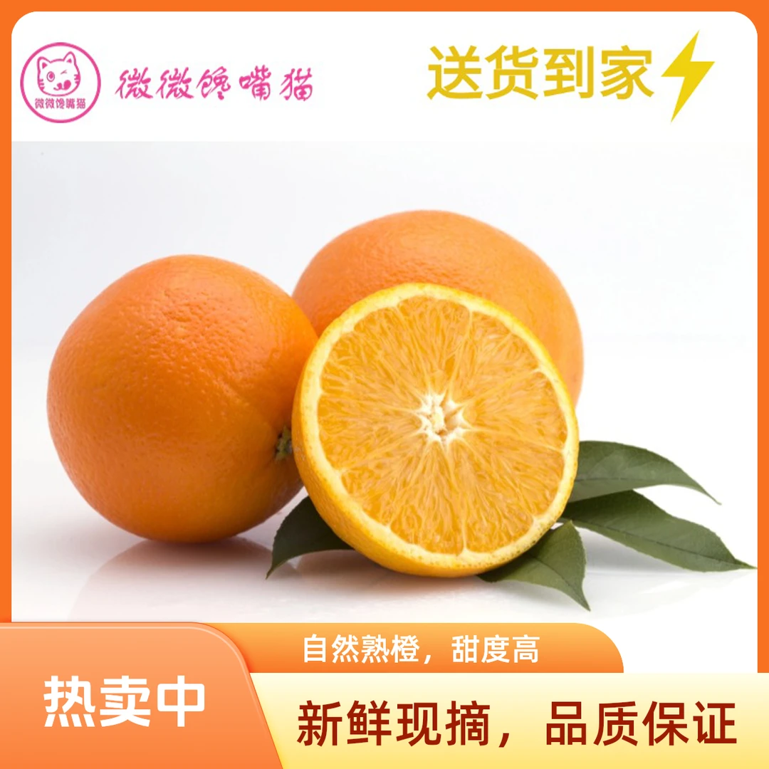 高山黄金橙600g（送货上门）