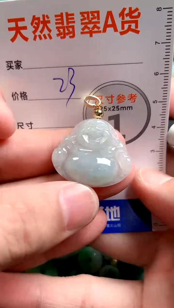 翡翠未镶嵌颈饰13006084