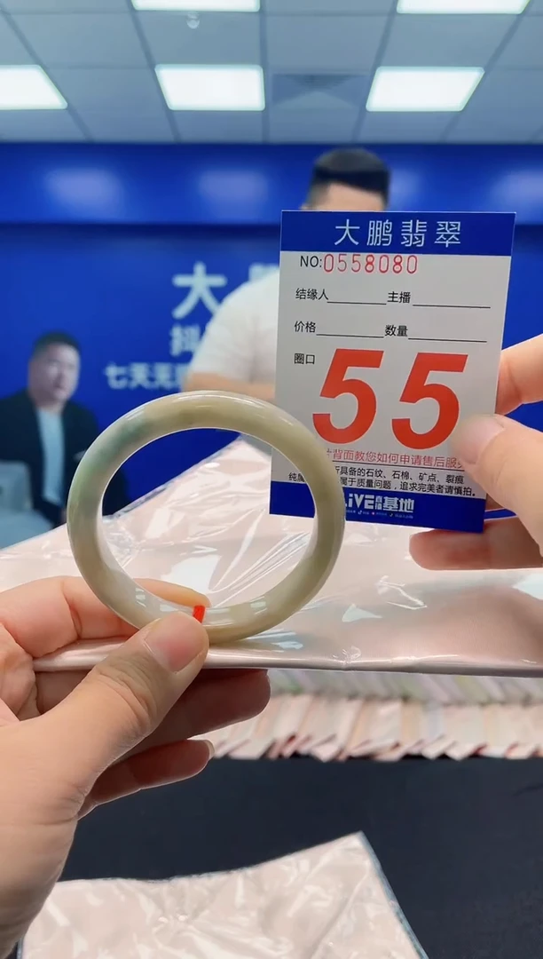 未镶嵌手镯翡翠AAAAAAAAA