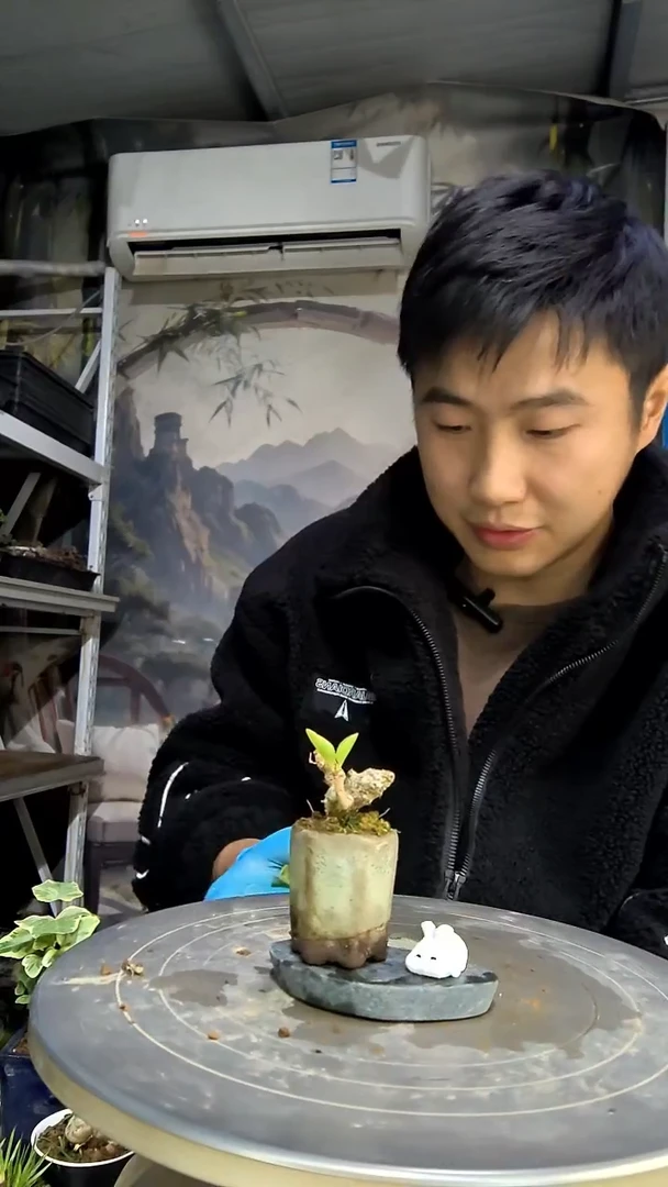 莲*中青园艺一物一拍花173