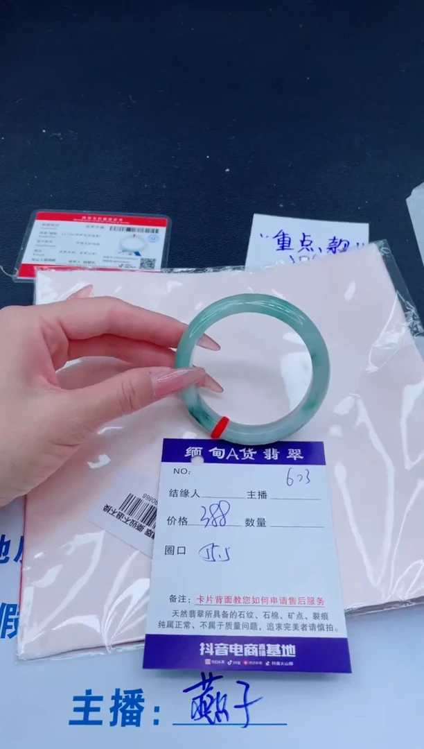 未镶嵌手镯翡翠