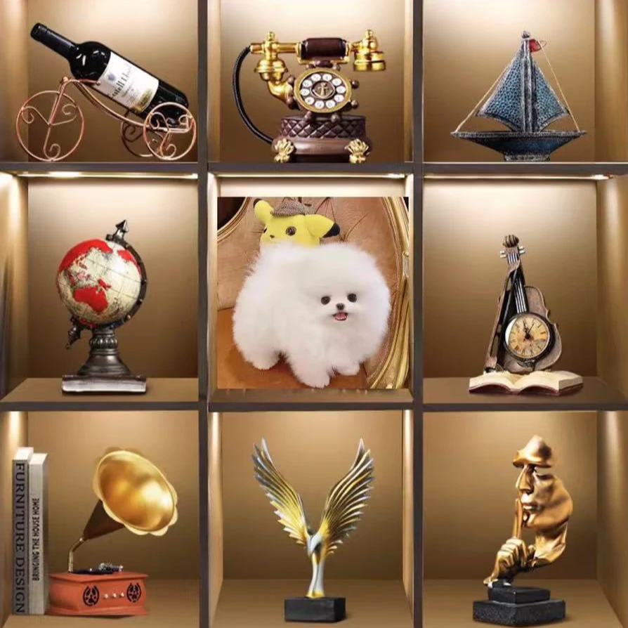 大容量家庭横竖宠物寸1000影集塑封插页式宝宝儿童纪念宠物