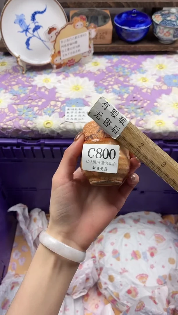 瓷片热****.                C800