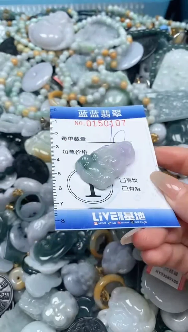 【闪购商品】翡翠颈饰未镶嵌闪购0150107多样性发其一