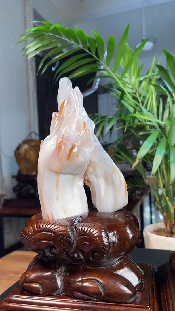 未镶嵌硅化玉（树化玉）珠宝奇石东*0825