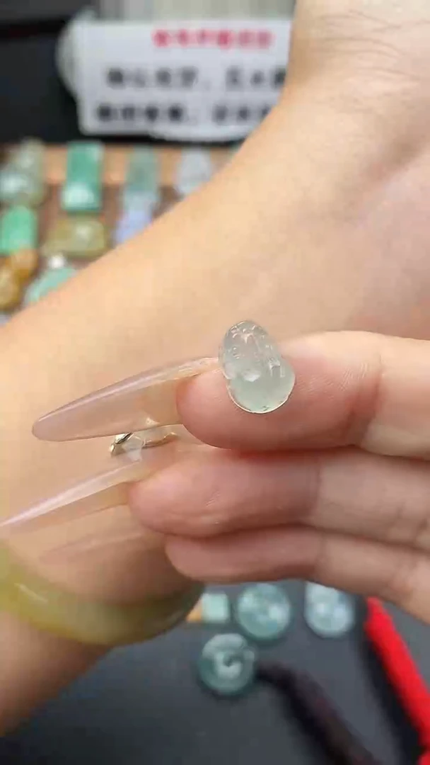 颈饰未镶嵌翡翠貔貅