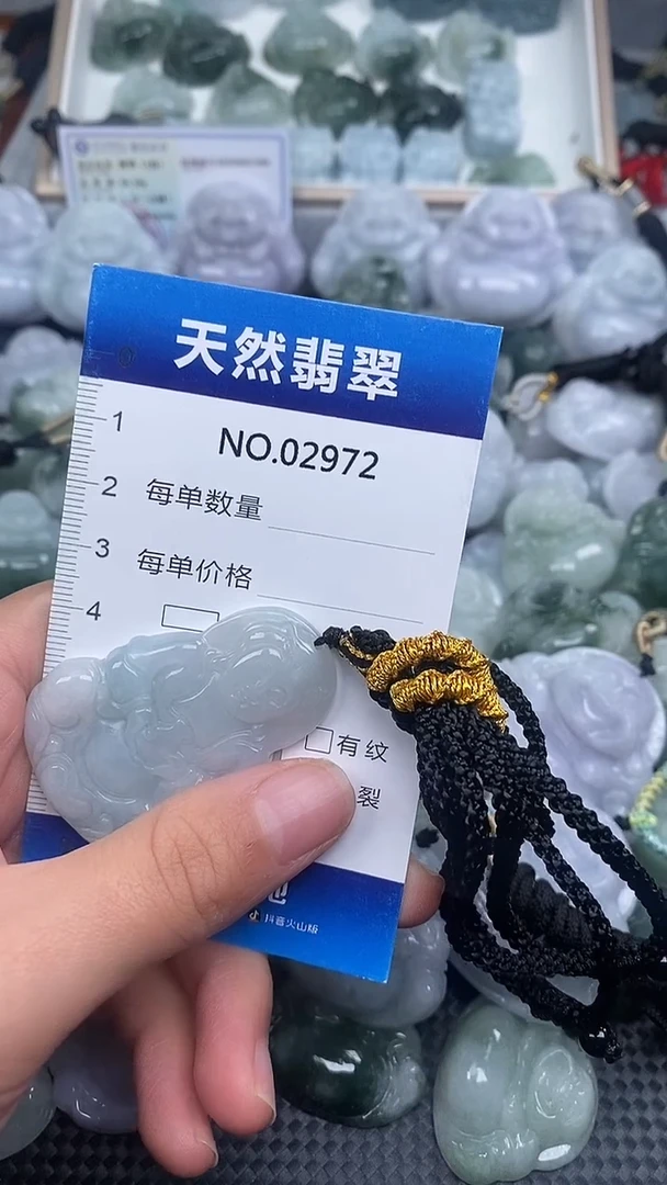 颈饰未镶嵌翡翠纯天然A货翡翠2972