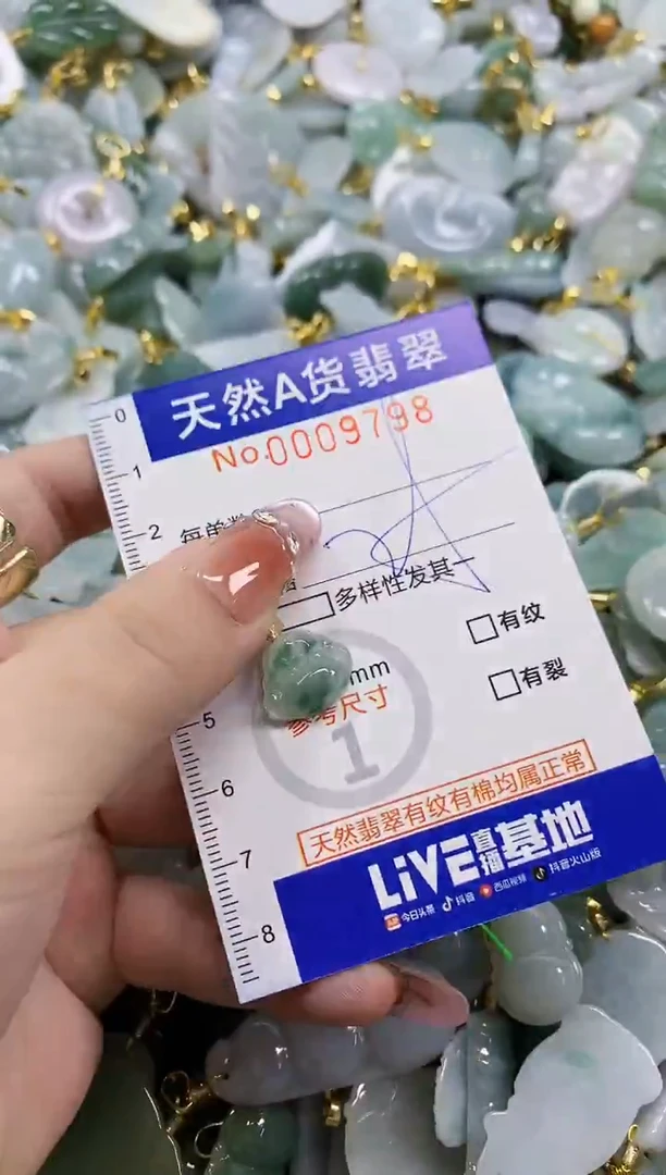 颈饰未镶嵌翡翠天然A货翡翠