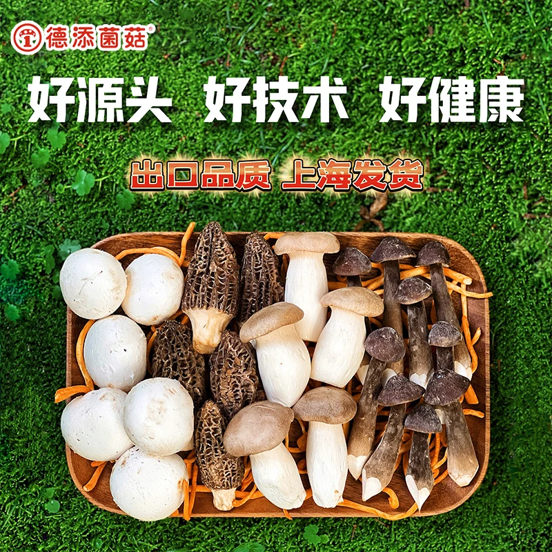 【满39包邮】13种鲜菌菇自选 菌菇拼盘鹿茸菇绣球菌 顺丰上海发货