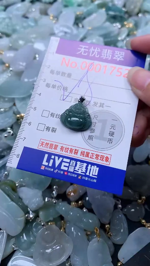 翡翠未镶嵌吊坠(不含链)1752