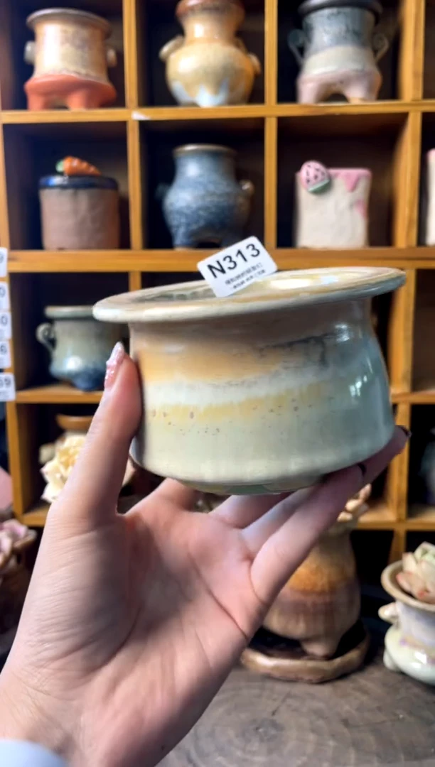 313内口8【多肉花盆多肉盆】