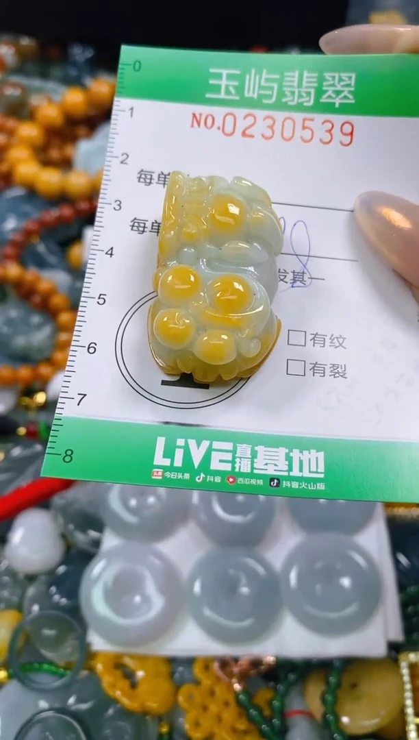 颈饰未镶嵌翡翠闪购0230539